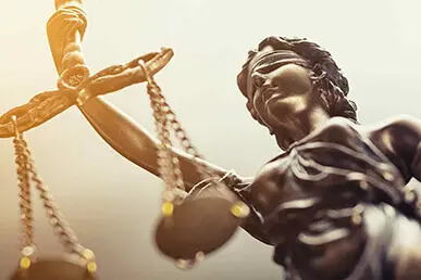 Corporate Law Consultancy