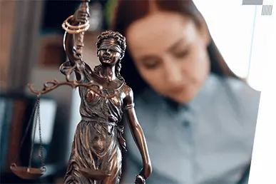 Contract and Legal Consultancy